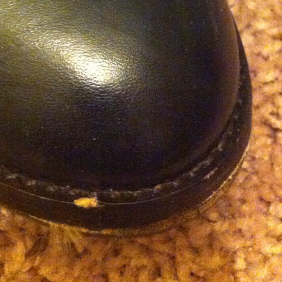 @@SOLD@@ Frye booties - Picture 4 of 4