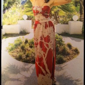 Brand new never worn dress