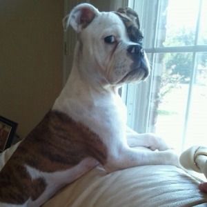 Georgia, the closet spokesperson.