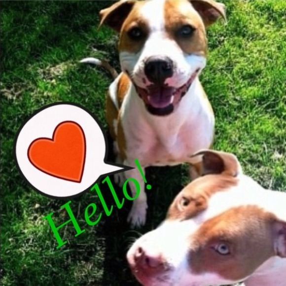 🎀Check Out My ❤️LOVE NOTES🎶 - Picture 3 of 4