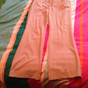 Express editor dress pant