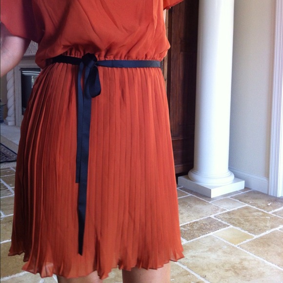 💯SOLD💯Bundle. Pumpkin spice pleated sheer dress - Picture 2 of 4