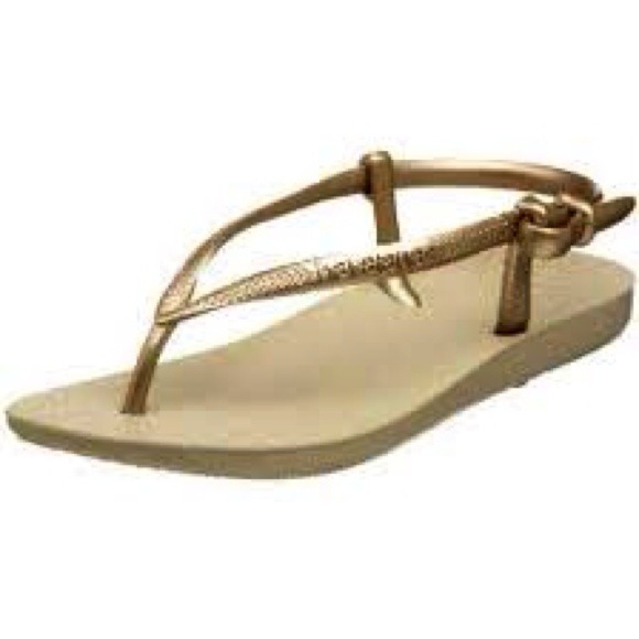 New Havaianas fit thong. Gold strap.