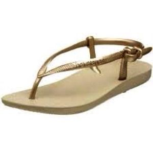 New Havaianas fit thong. Gold strap.