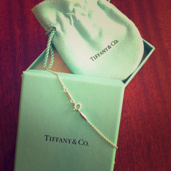 Tiffany & Co. Authentic 16 inch chain necklace