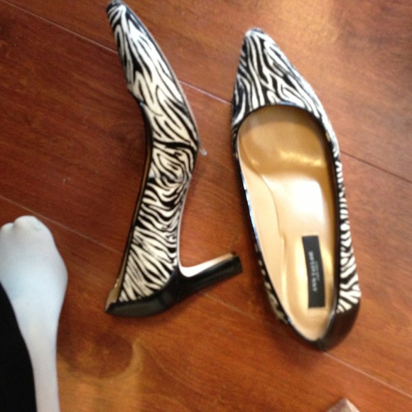 Zebra shoes