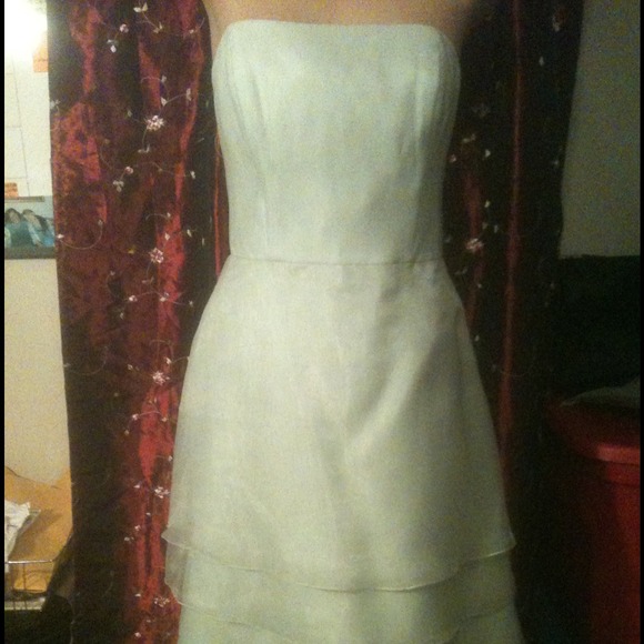 Bari Jay layered sage green cocktail dress