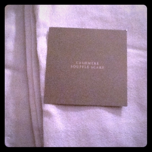 Restoration Hardware Scarf