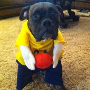 My Family! Lincoln is the Furry one :)