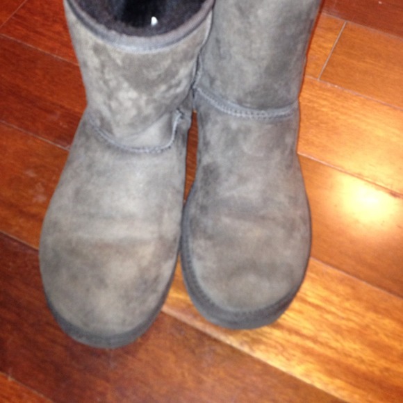 Bundle for @kwilliamsvpi