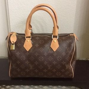 Louis Vuitton inspired Speedy Handbag