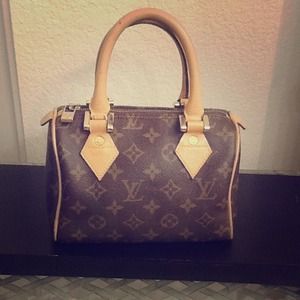 Inspired Louis Vuitton Speedy Handbag