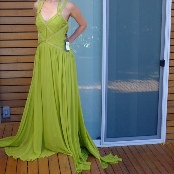 HP Style Icon🌟 Fab Herve Leger Dress / Ball Gown - Picture 2 of 3