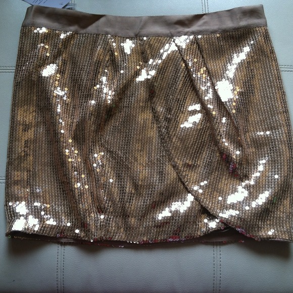 Sequin rose gold skirt