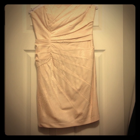 Champaign/light pink Textured Cocktail Dress