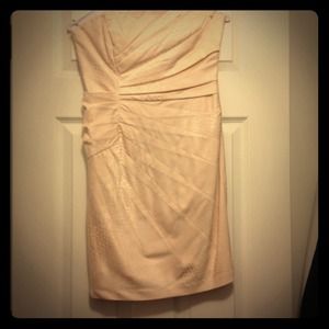 Champaign/light pink Textured Cocktail Dress