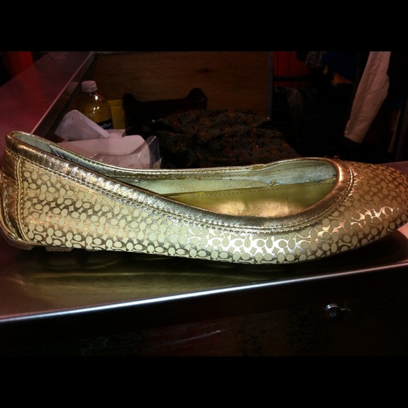 Shoe