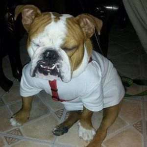 Thank you all for following & stopping to look!