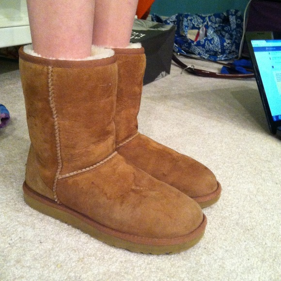 Chestnut Uggs