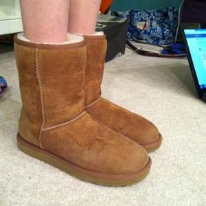 Chestnut Uggs