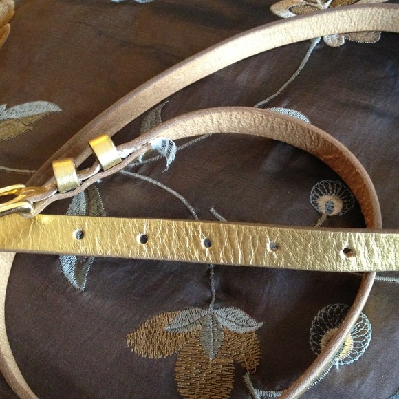 Banana Republic skinny gold belt - Picture 4 of 4