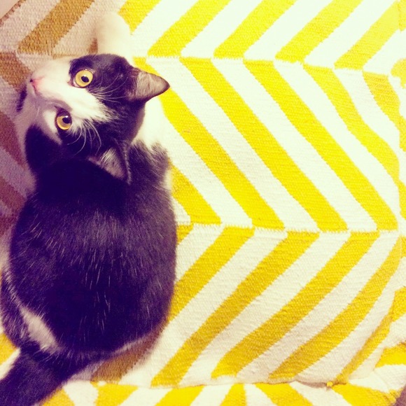 Meet The Seller! - Picture 2 of 3