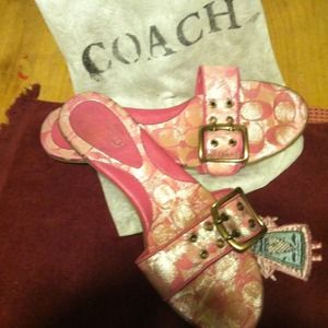 Pink coach flips REDUCED!