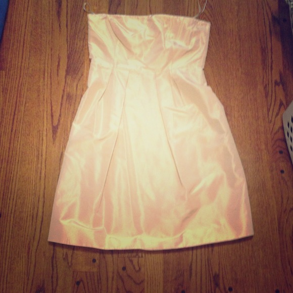 Champagne silk taffeta Jcrew cocktail dress