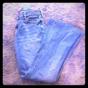 Hollister Stretch Jeans
