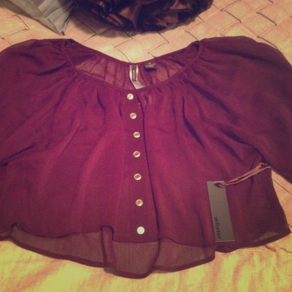 Sheer fancy top