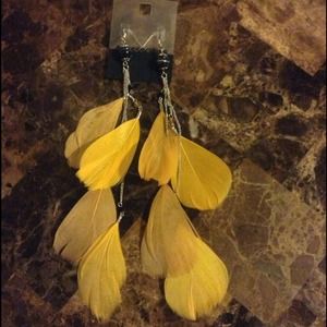 Feathered earrings