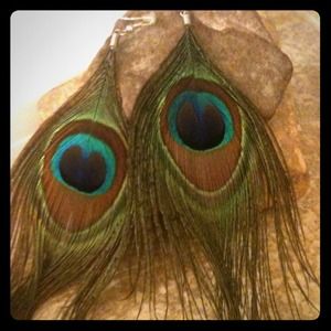🎁GIFTED🎁  Peacock feather earrings.  Never worn.