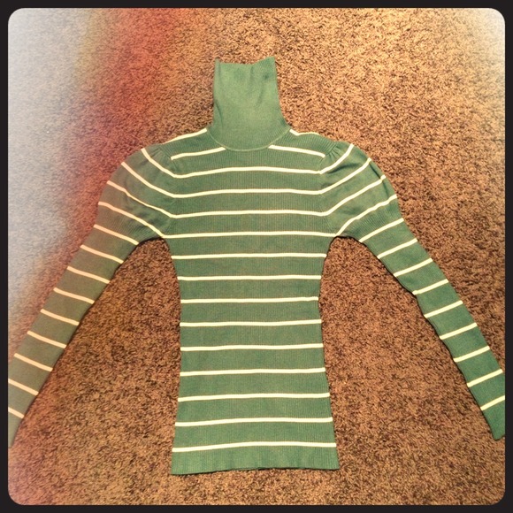 Long sleeve striped turtle neck