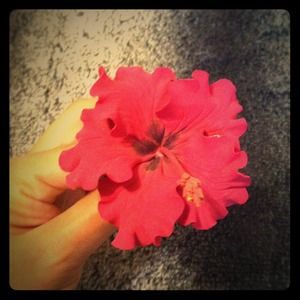 BUNDLE for @morenita Hawaiian flowers NWT