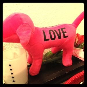 🚫Sold🚫Cute pink dog