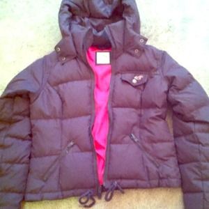 Hollister winter coat