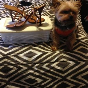 Gucci brown and tan sandals baby not included