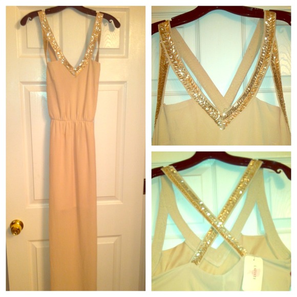 Dresses & Skirts - 🎀REDUCED🎀NBW NWT Chiffon Maxi Dress sz Med