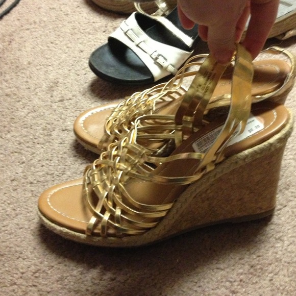 Rampage wedges