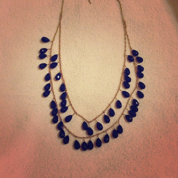 Beautiful blue log necklace!