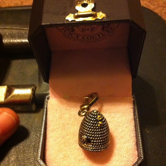 Bee hive Charm