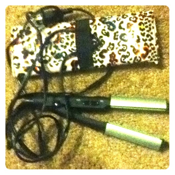 mini straightener & case.