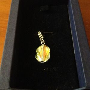 Swarovski Charm