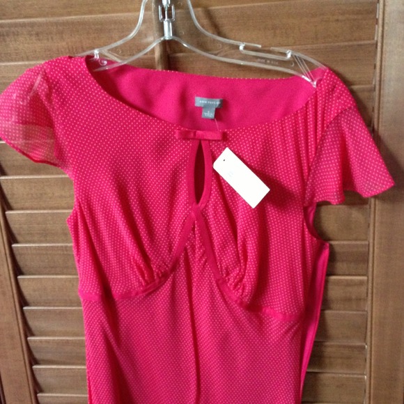 Adorable Ann Taylor dress. - Picture 2 of 4