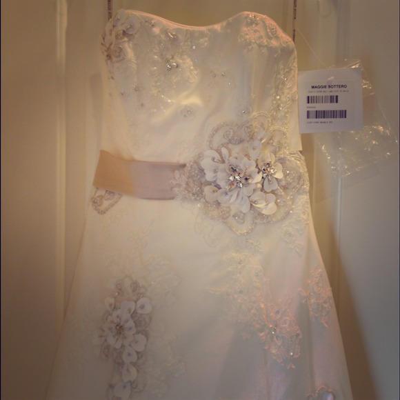 Reduced! Maggie Sottero Geneva Gown and veil