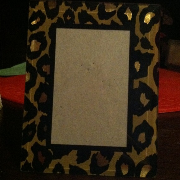 Cheetah print picture Frame. Zebra print