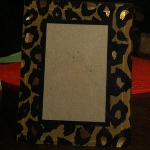 Cheetah print picture Frame. Zebra print
