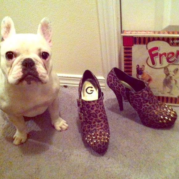 Leopard gold studded booties! - Picture 1 of 4