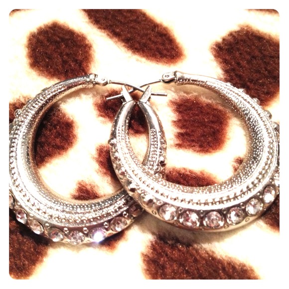 Silver Hoops