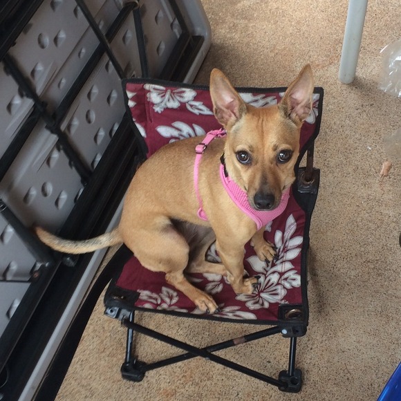 🌴🌸Meet the seller!!! 🌸🌴 - Picture 2 of 3